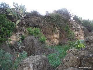 stellaccio20-11-2016 15-48-00